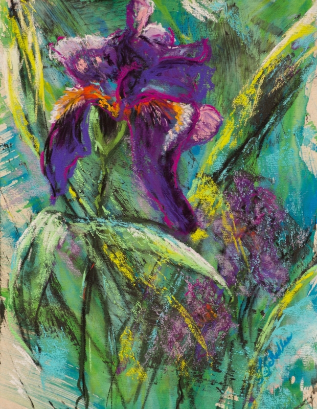 Wild Iris by artist Joycelyn Schedler